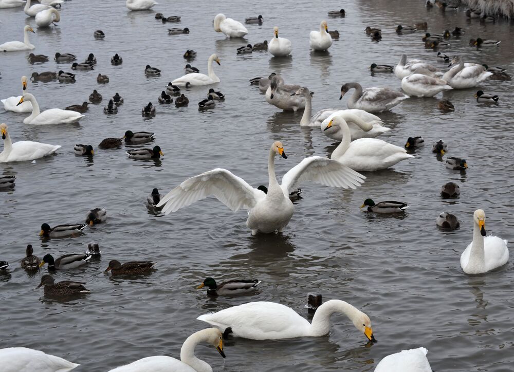 Photograph by Екатерина Шустова