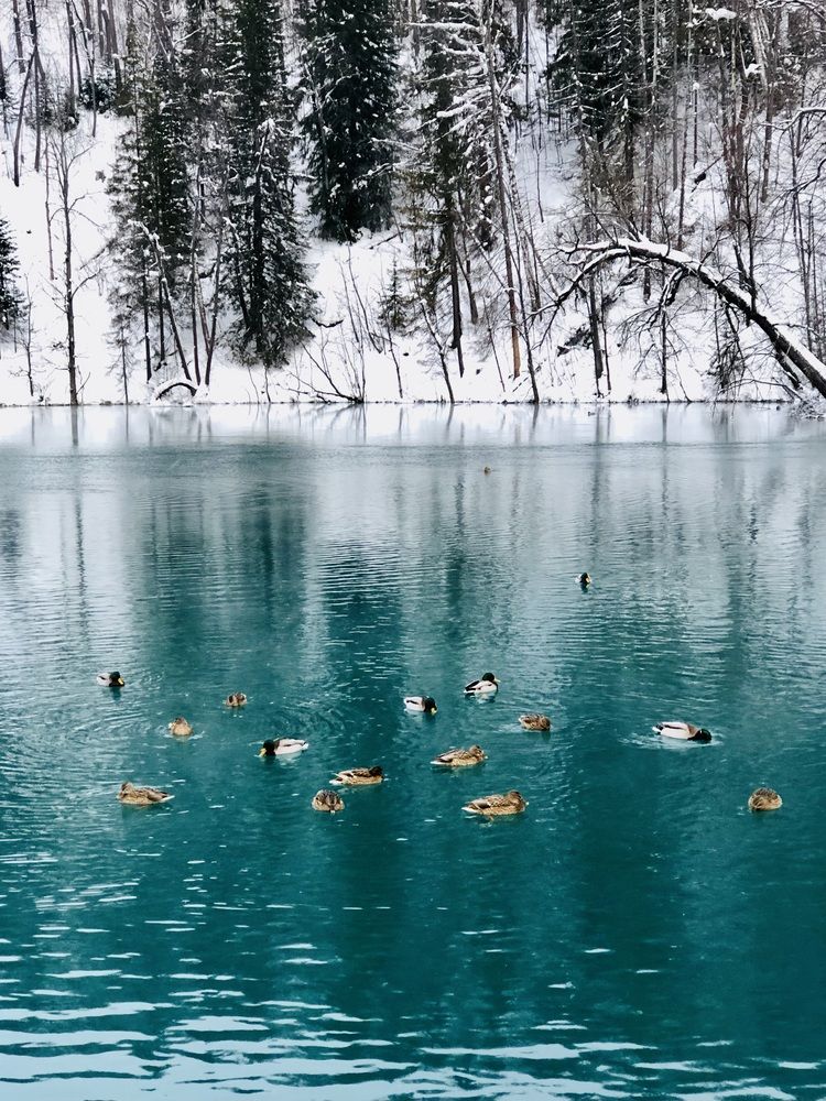 Магия Красного ключа