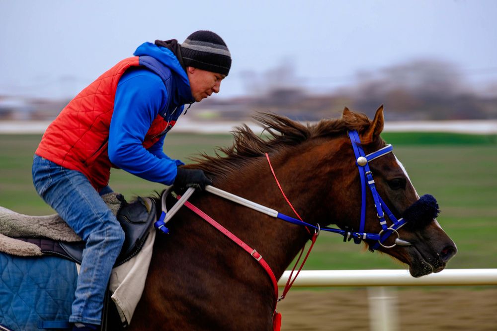 Photograph by Валентина Парфёнова