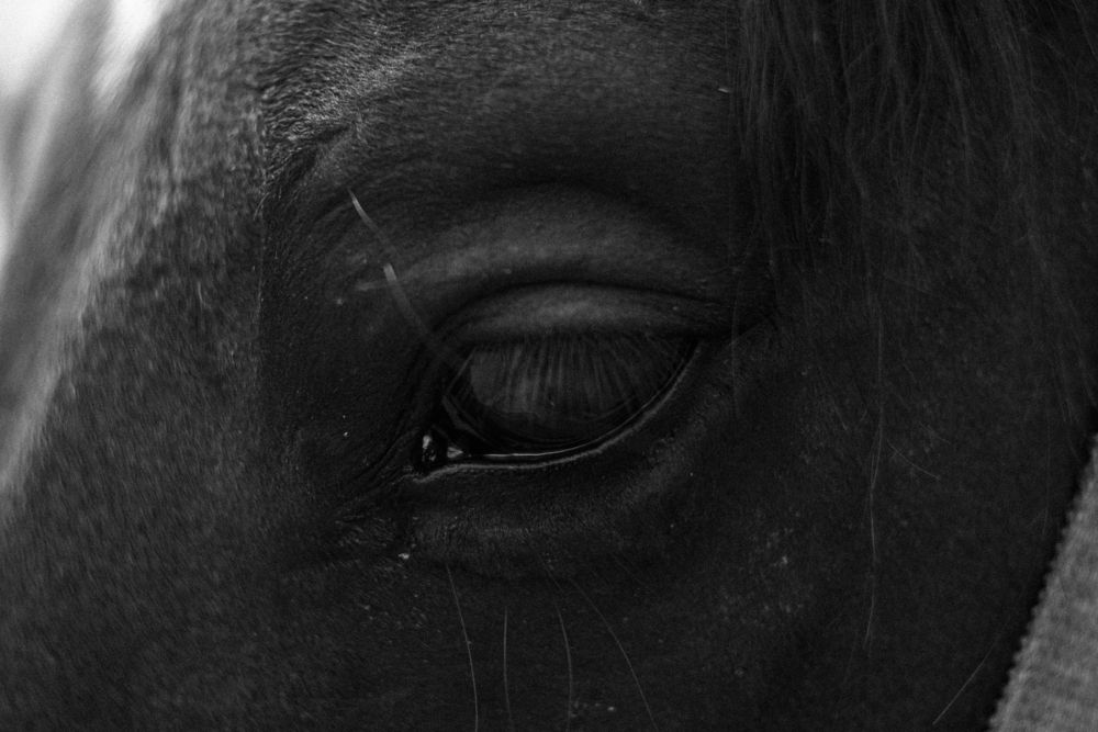 Photograph by Валентина Парфёнова