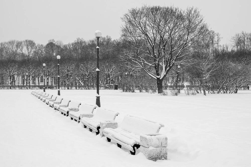 Фотография автора Dimitri Bakhtadze