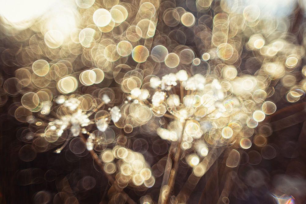 Photograph by Анатолий Павлович