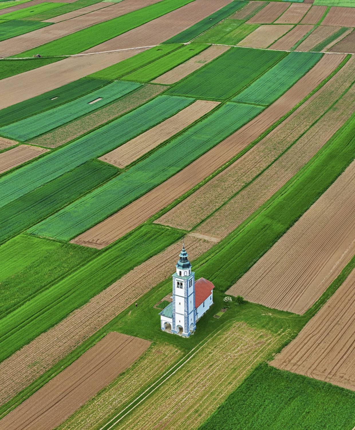 A Coordinate in the Fields