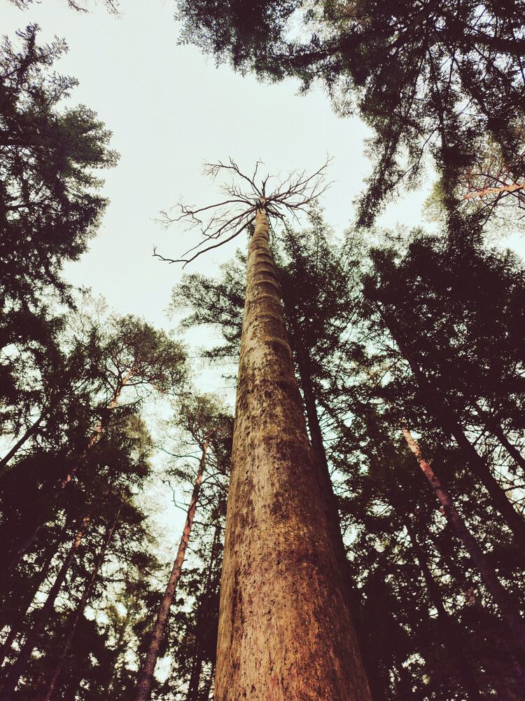 Photograph by Inna