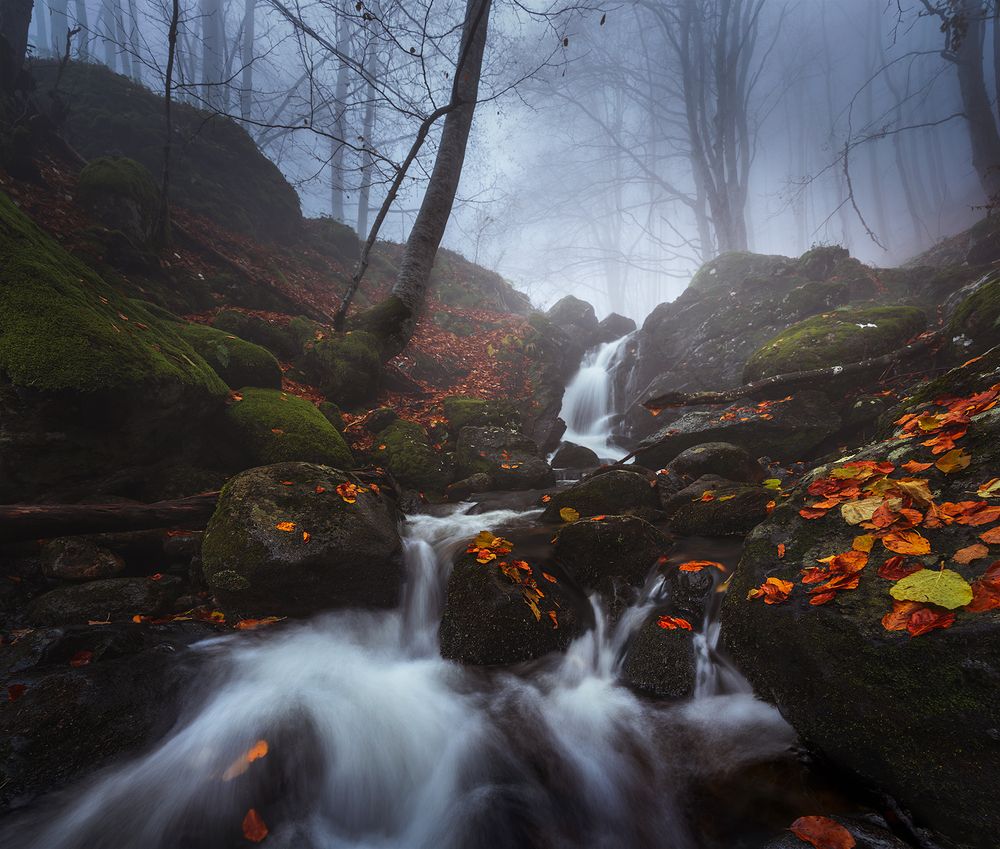 Photograph by Александър Александров