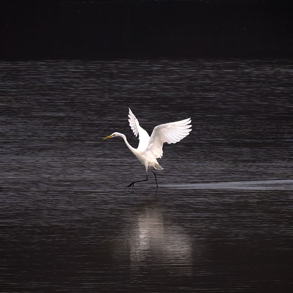 Photograph by Геннадий Суслов