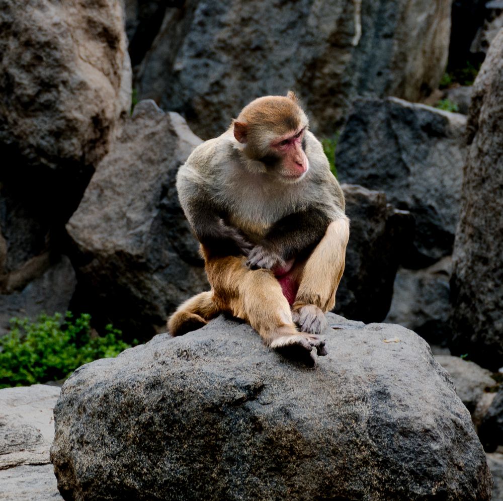 Photograph by lee pound
