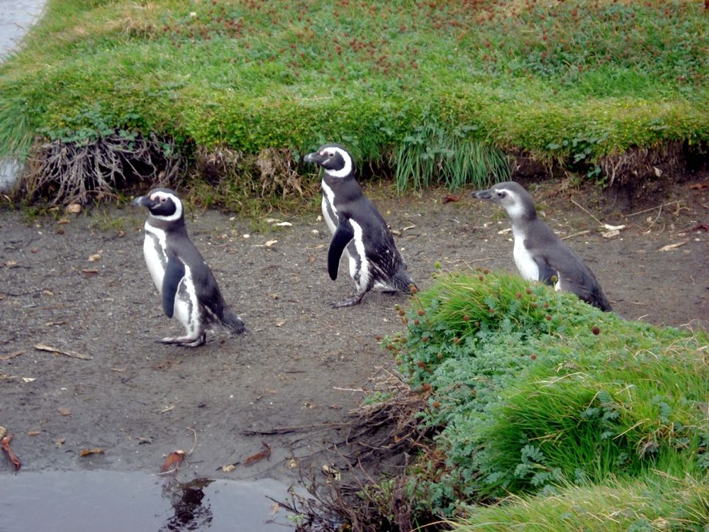 Photograph by Валентина