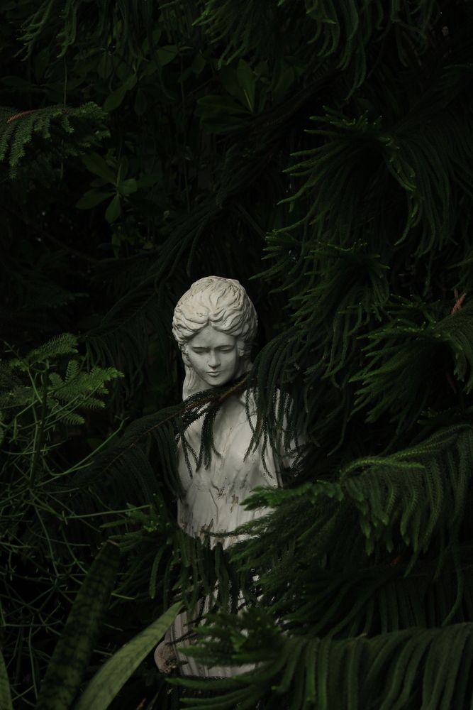 Photograph by _Pap0rotnik _