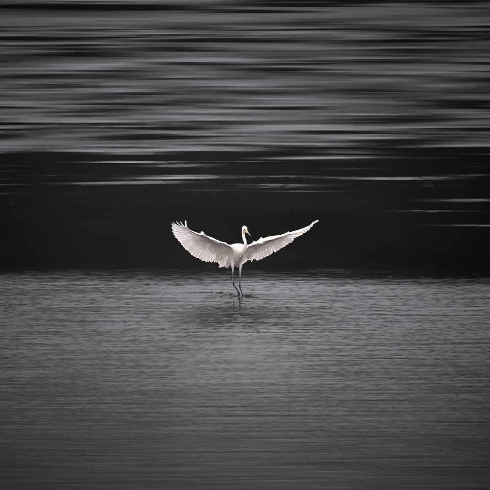 Photograph by Геннадий Суслов