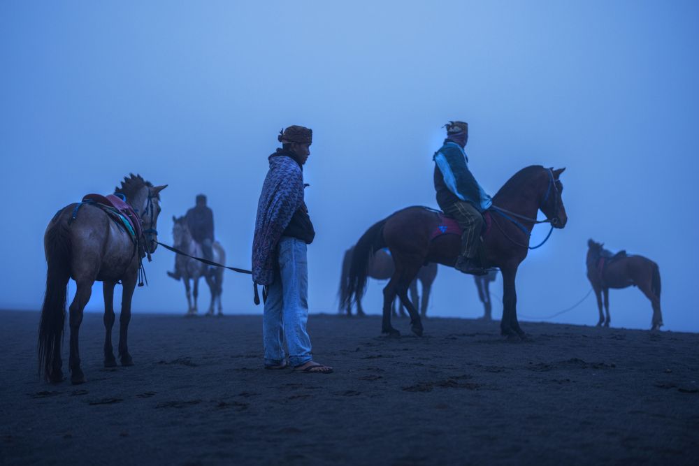 Between the horse and its master