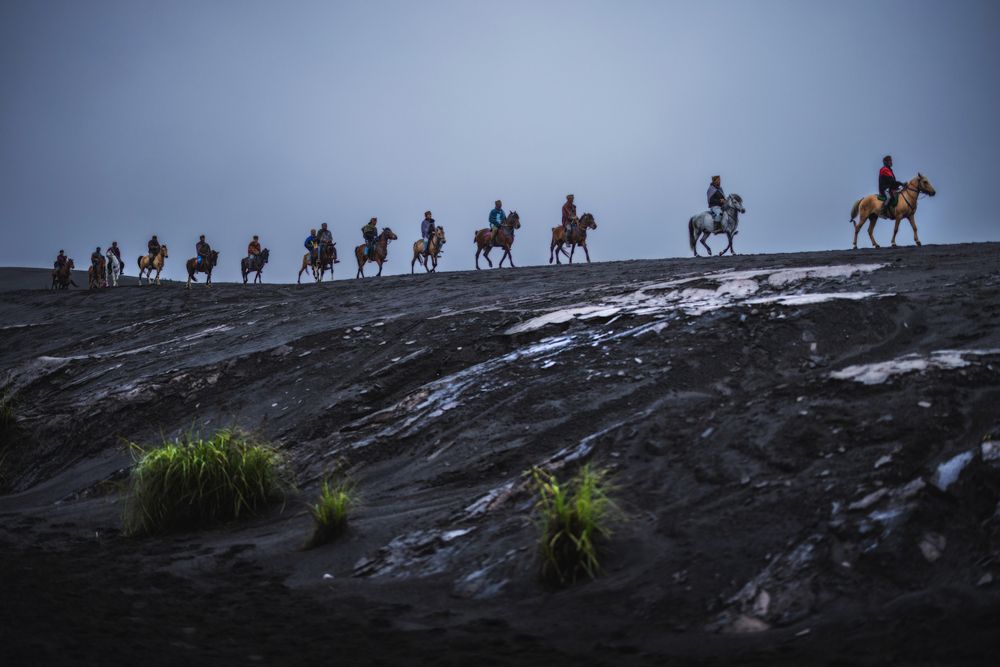 “A Series of Horse Journeys\"