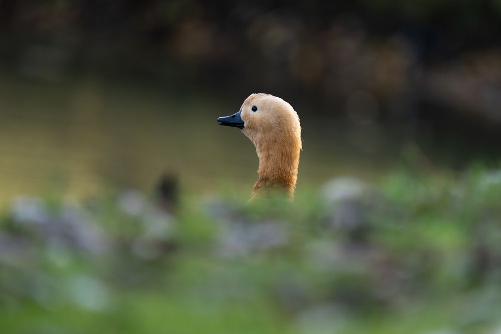 Photograph by Сергей Малинкин