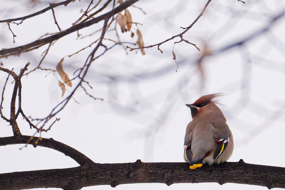 Photograph by николай конденко