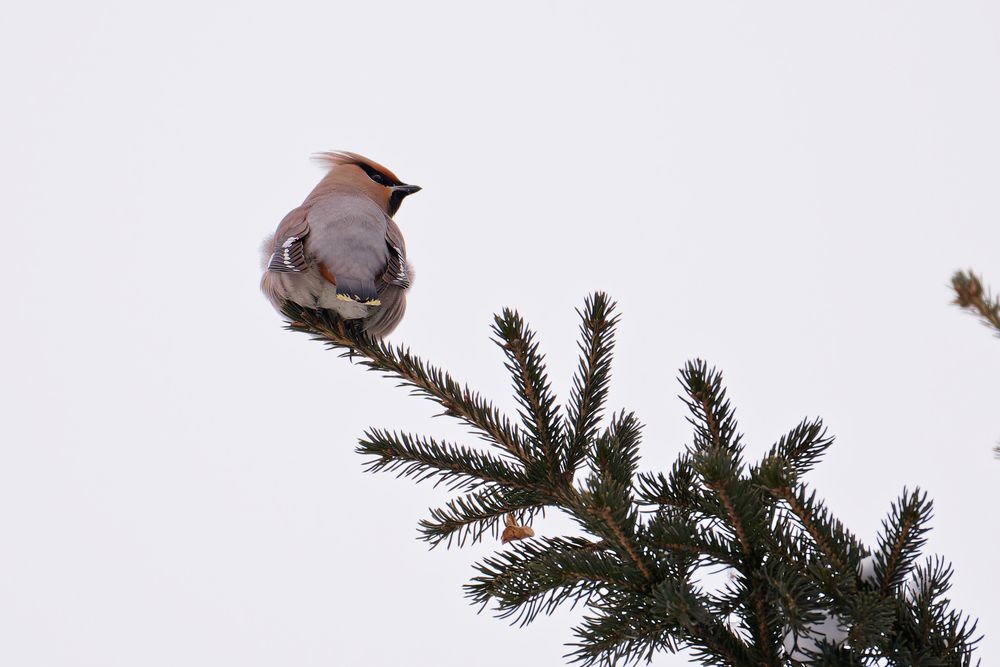 Photograph by николай конденко