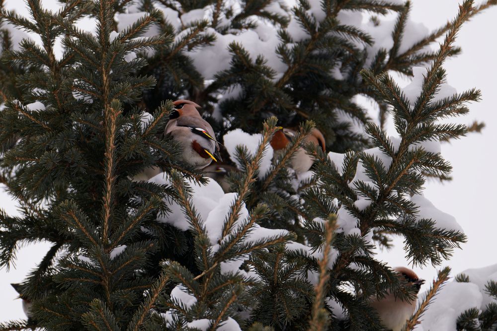 Photograph by николай конденко