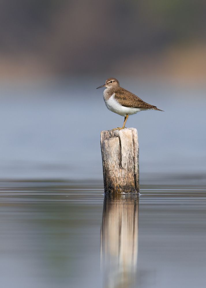 Photograph by Романова Екатерина