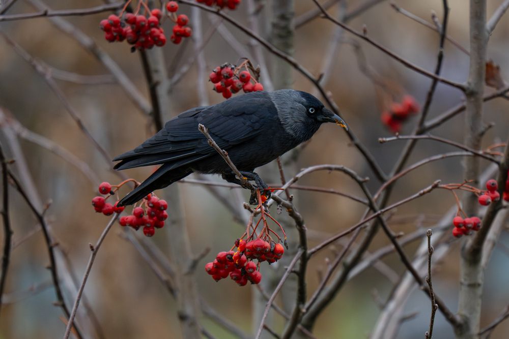 Photograph by Сергей Малинкин