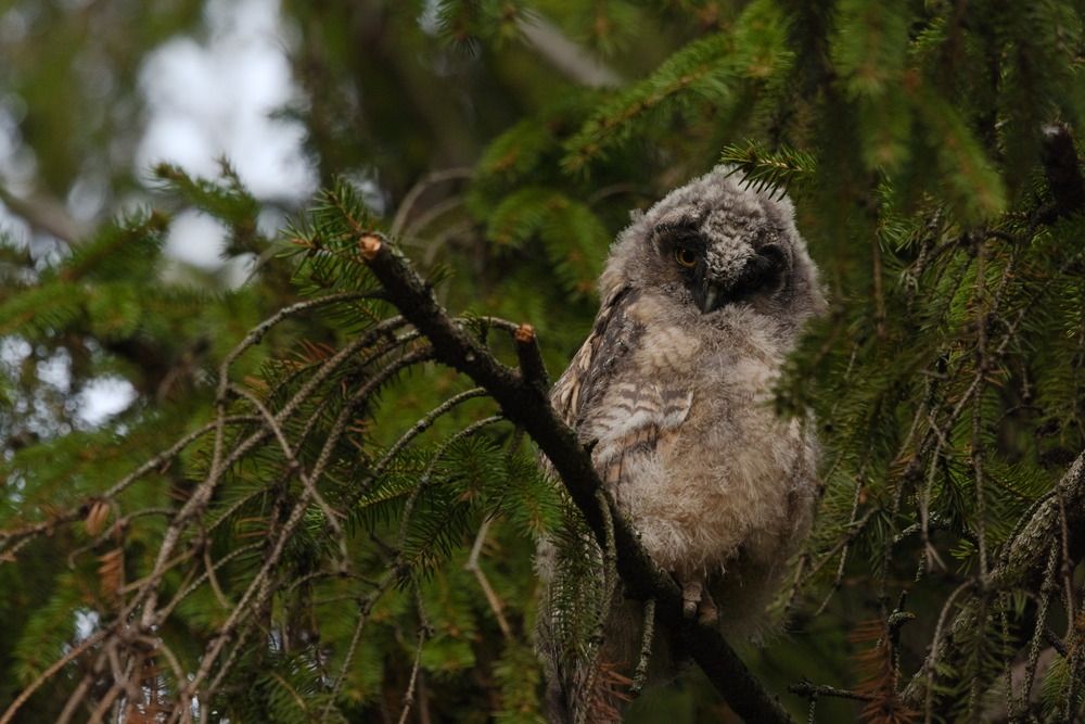 Photograph by Ольга Якубова