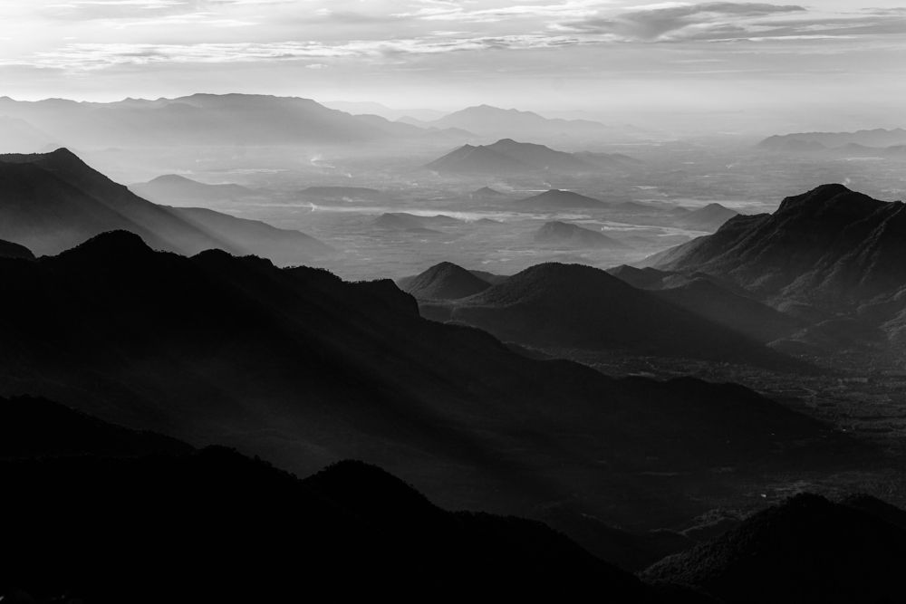 Фотография автора Vignesh Subramani