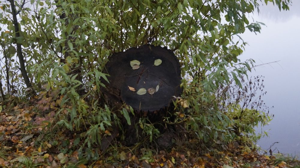 Фотография автора Сушкевич Светлана