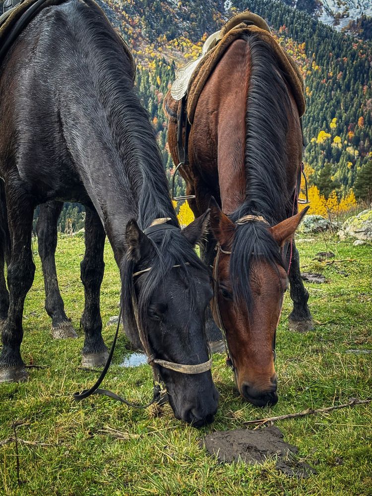 Photograph by Иван Весельников