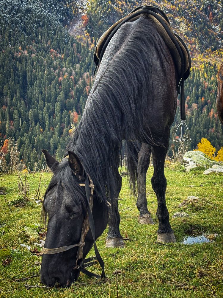 Photograph by Иван Весельников