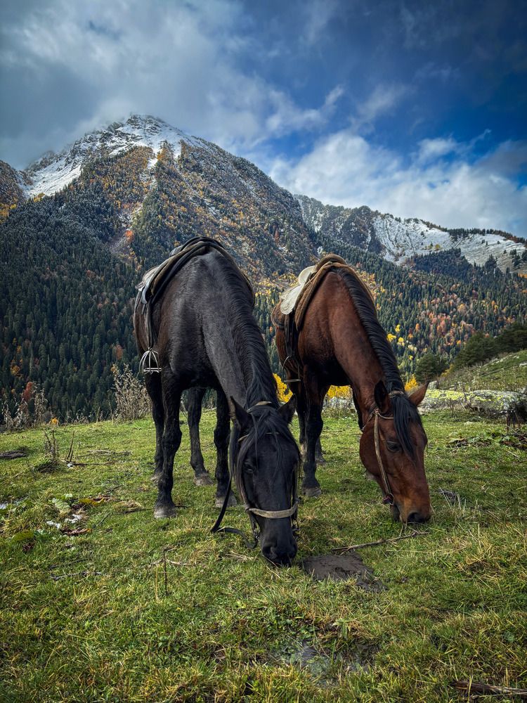 Photograph by Иван Весельников