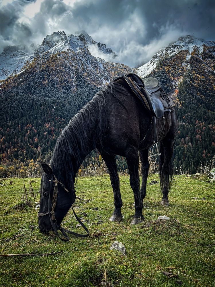 Photograph by Иван Весельников