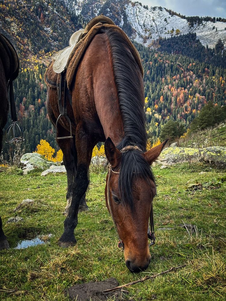 Photograph by Иван Весельников