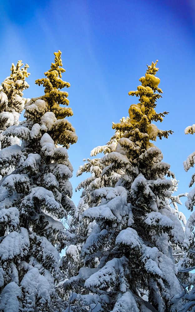 Photograph by Иван Весельников