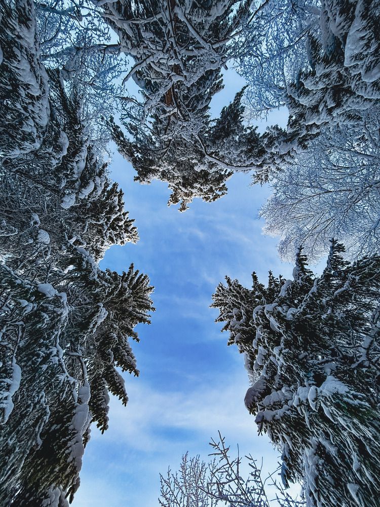 Photograph by Иван Весельников