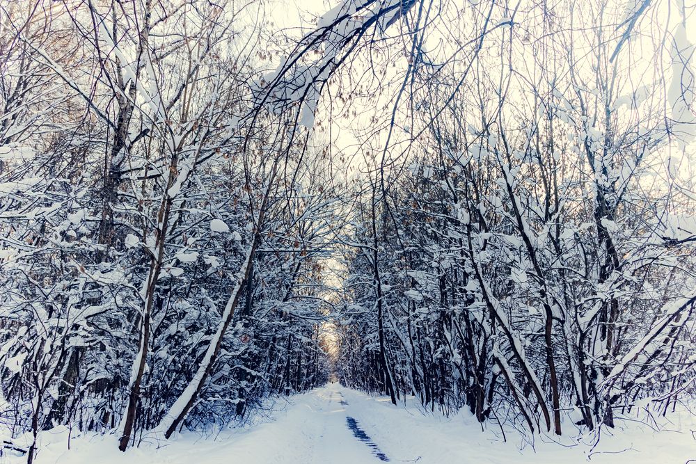 Фотография автора Михаил Наволокин