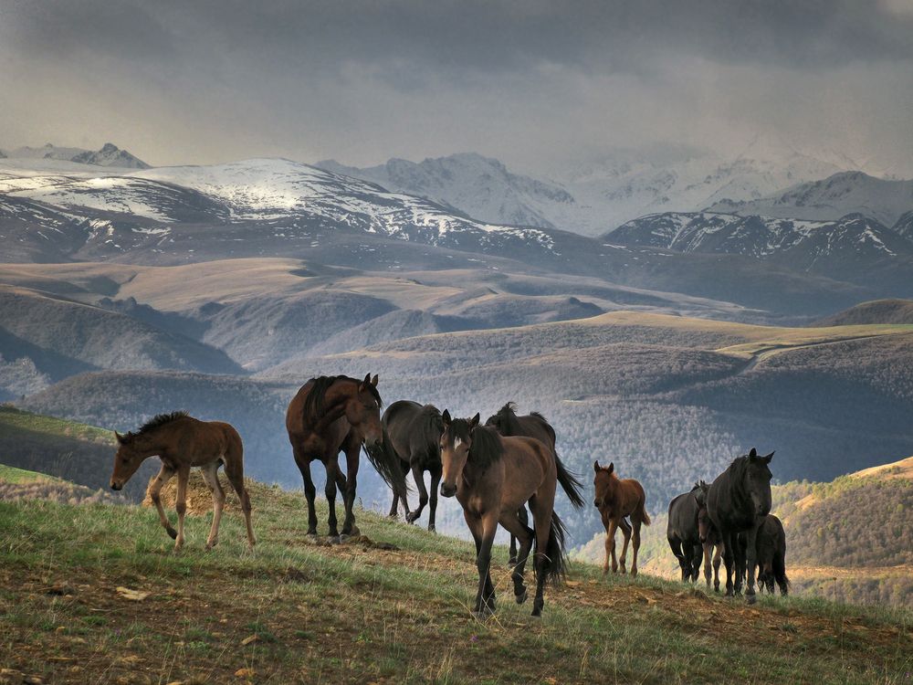 Photograph by Галина Хвостенко