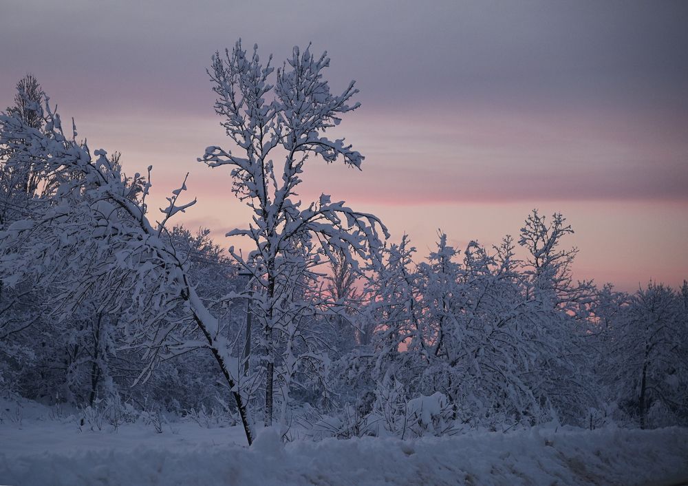 Photograph by Антонина Ахмадеева