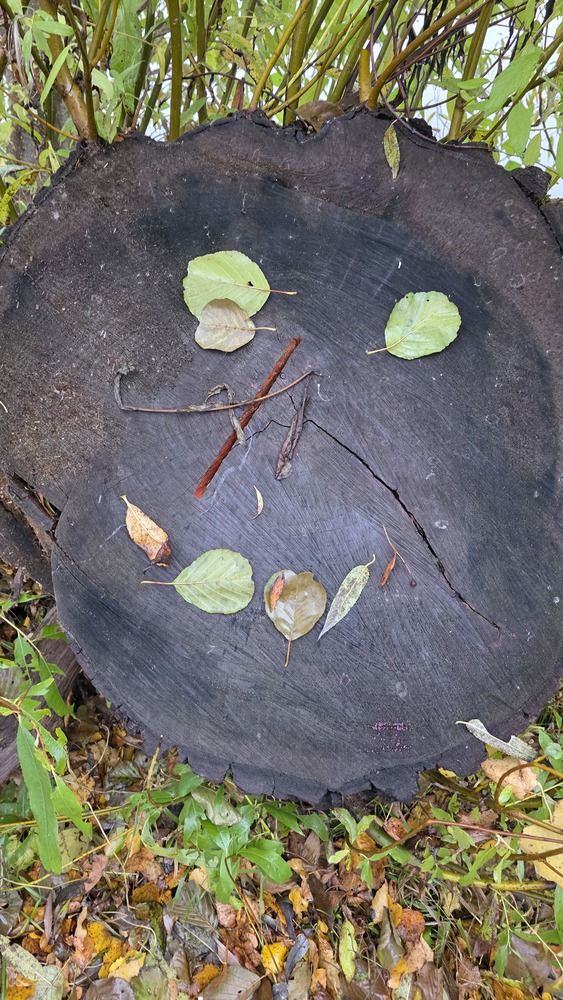 Фотография автора Сушкевич Светлана