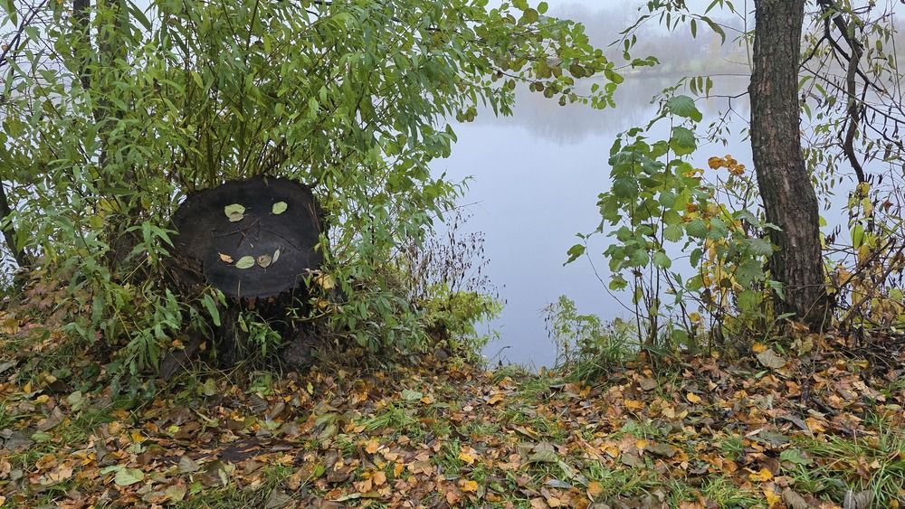 Фотография автора Сушкевич Светлана