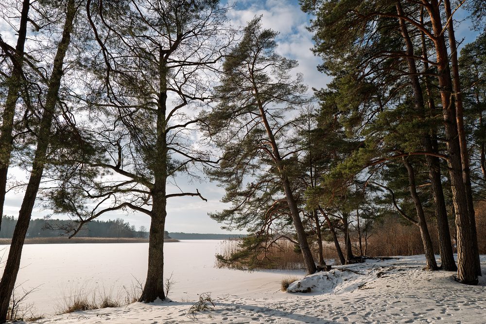 Photograph by Александр Клиновский