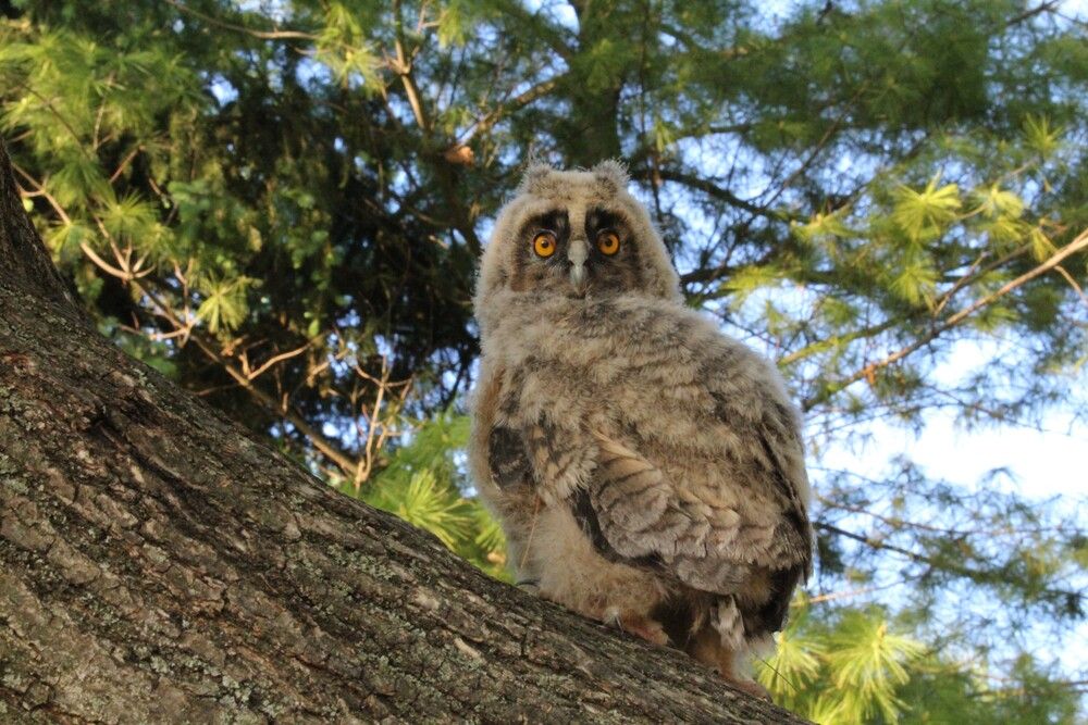 Photograph by Любовь Войводич