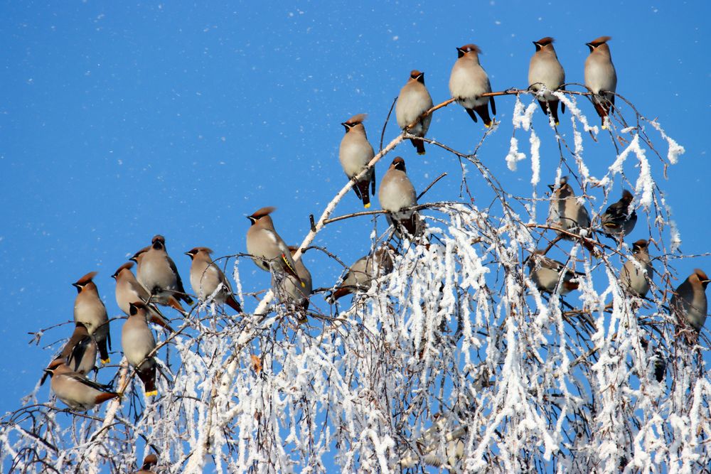 Photograph by Наталья Трифуз