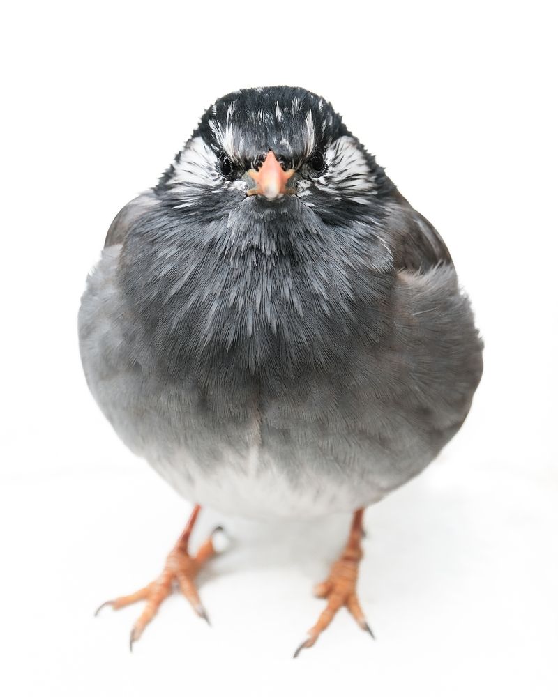 Photograph by mak takano