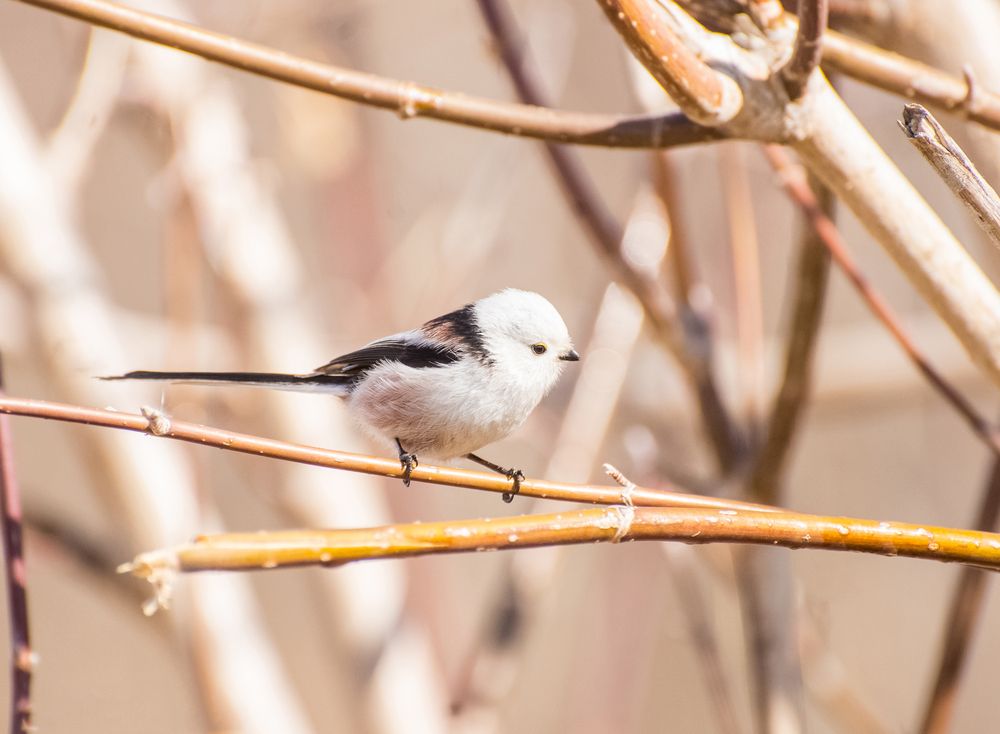 Photograph by Ирина