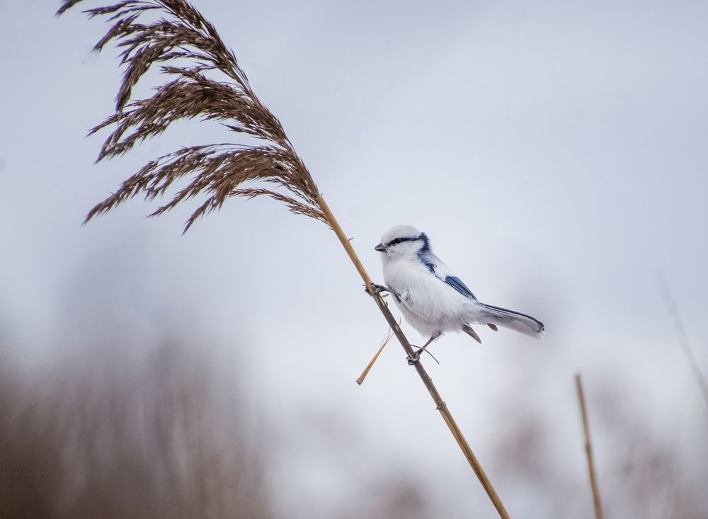 Photograph by Ирина