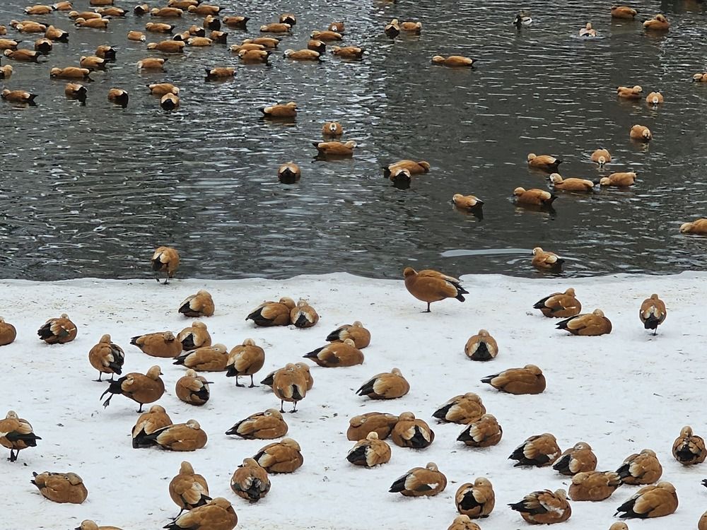 Photograph by Вадим Богатиков