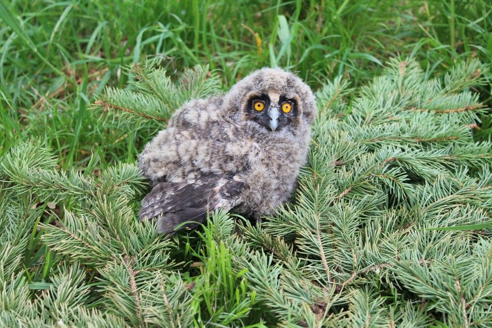 Photograph by Любовь Войводич