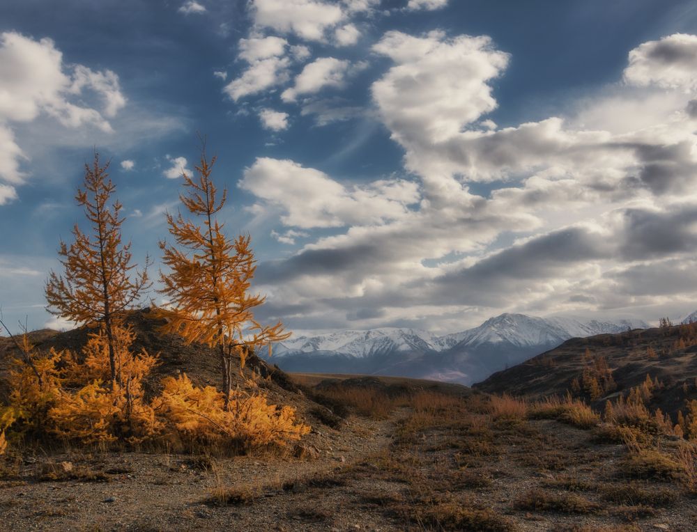 Photograph by Юдинских Марина