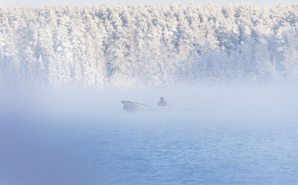 Фотография автора Алина Руденко