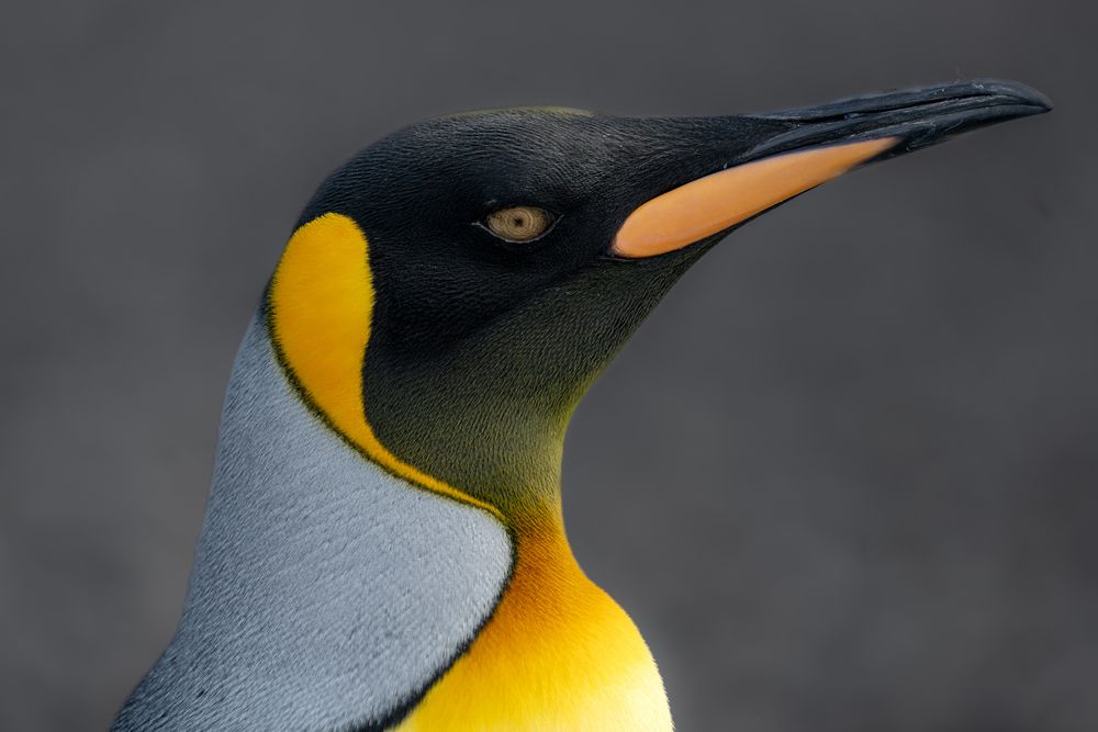 Photograph by Esteban Duque Mesa