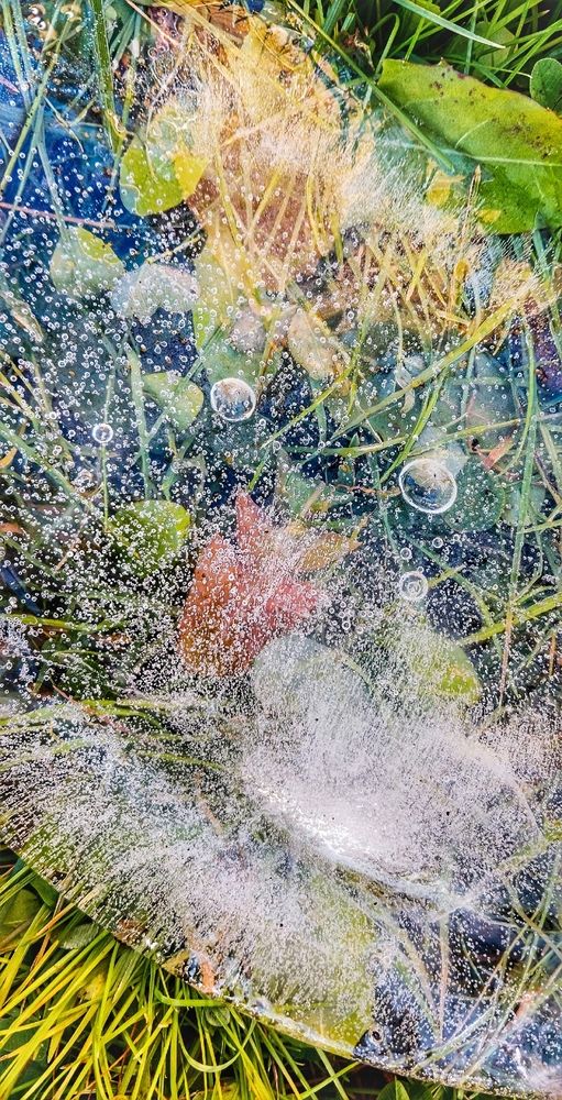 Фотография автора Valerya Vasileva