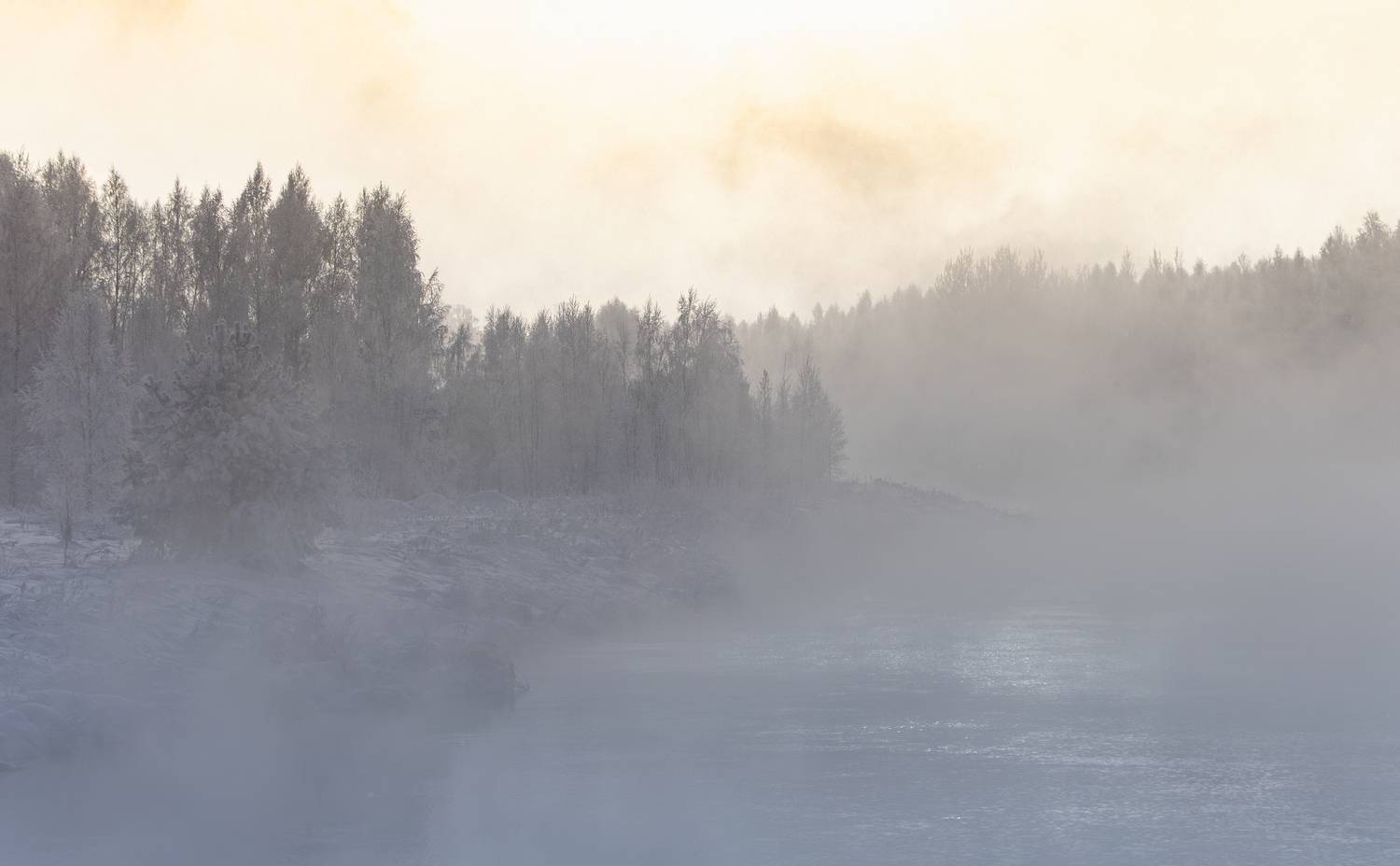 Фотография #13103919